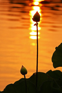 瑞士队逆转战胜对手，取得突破