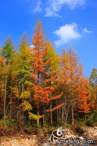深圳坪山客场不敌广东嘉意，遭遇失利