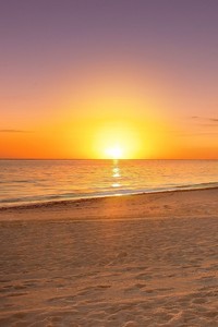 荷兰游泳队实力突出，斩获多枚奖牌