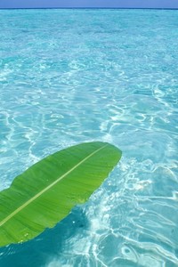 天津泰达客场不敌，保级形势严峻