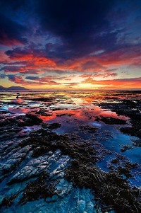 猛龙全队期待进一步提升水准稳扎稳打迎战季后赛