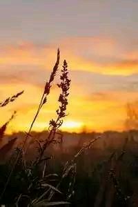 -荷兰国家队主场胜出，欧国联杯前景一片光明